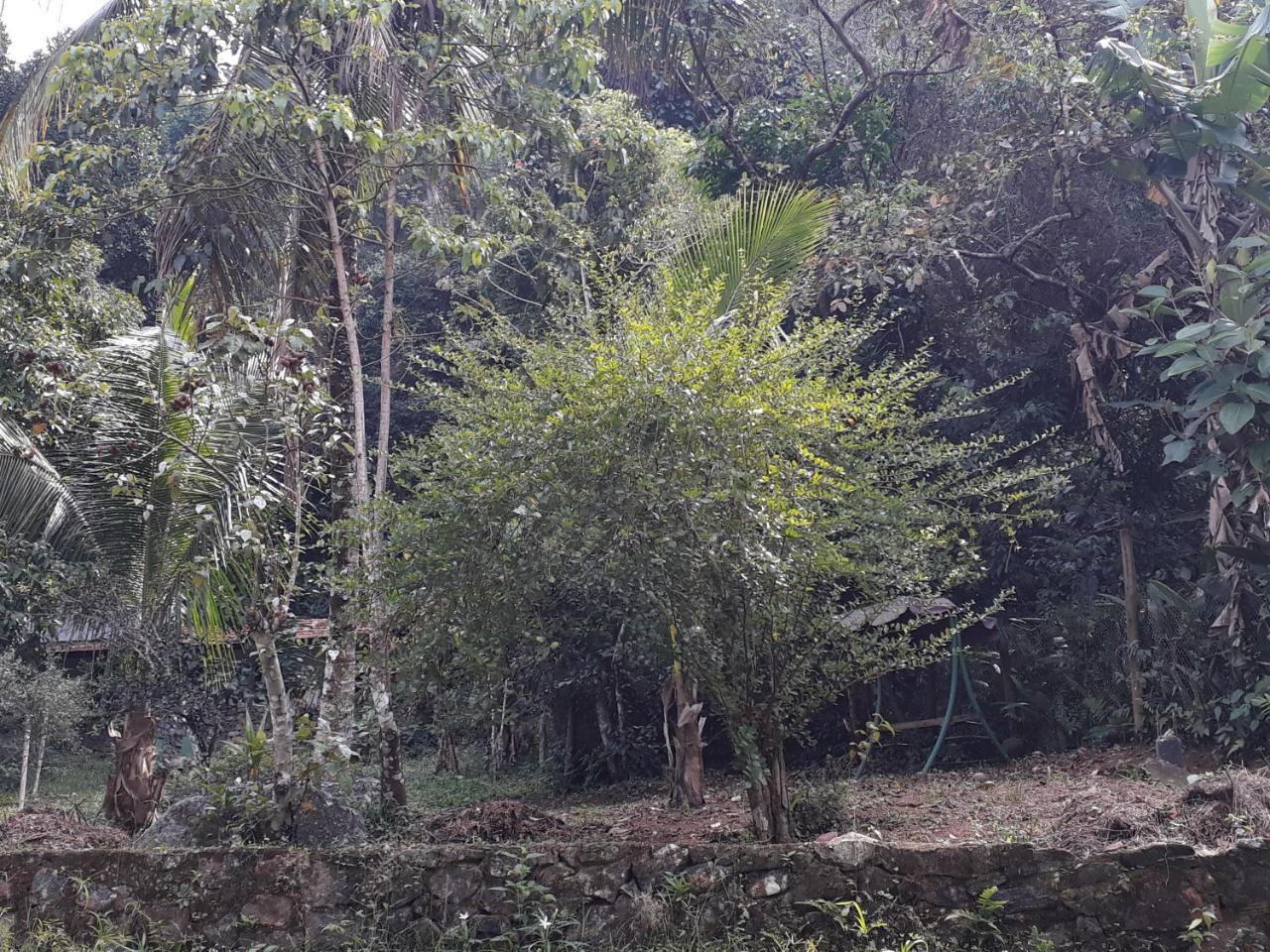 Recanto Da Gipoia Angra dos Reis Exterior foto